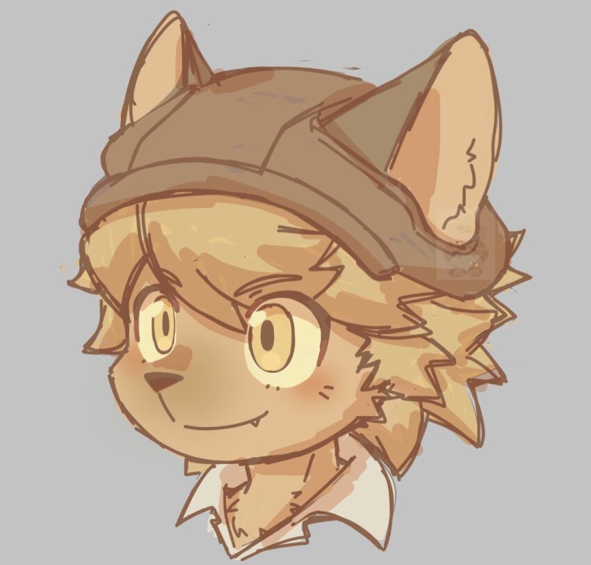 blonde_hair, dog_boy, ears_through_headwear, fang, fang_out, furry, furry_male, grey_background