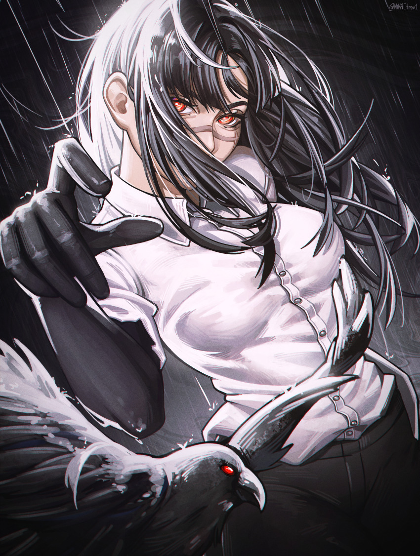absurdres, bird, black_gloves, black_hair, black_pants, chainsaw_man, collared_shirt, commentary