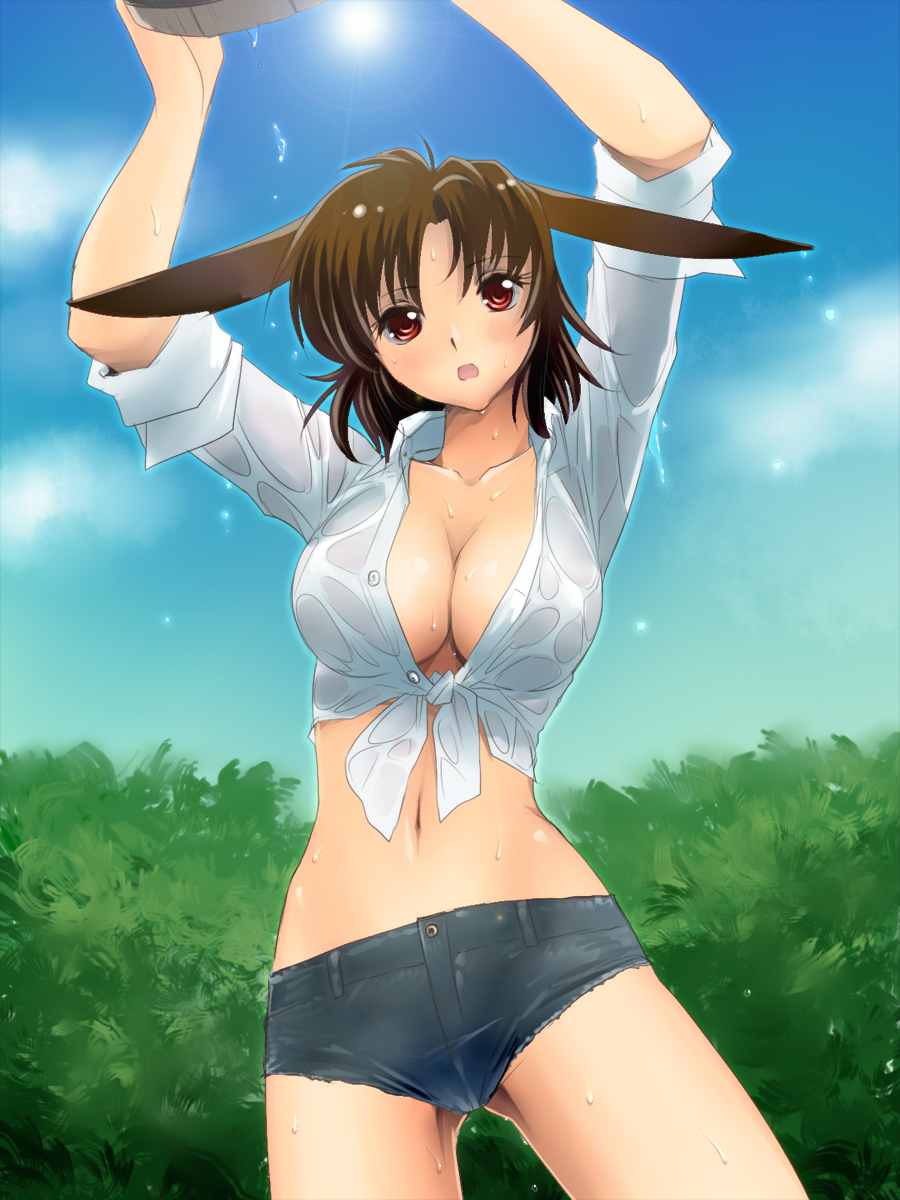 1girl, animal_ears, arms_up, blue_sky, blush, breasts, brown_eyes, brown_hair, cleavage, cloud, collarbone, cutoffs, day, denim, denim_shorts, female_focus, front-tie_top, highres, large_breasts, midriff, navel, open_mouth, original, pappel_ostern, pixiv_fantasia, pixiv_fantasia_5, red_eyes, shiny_skin, shirt, short_hair, short_shorts, shorts, sky, sleeves_rolled_up, solo, thighs, tied_shirt, wet, wet_clothes, yagisaka_seto