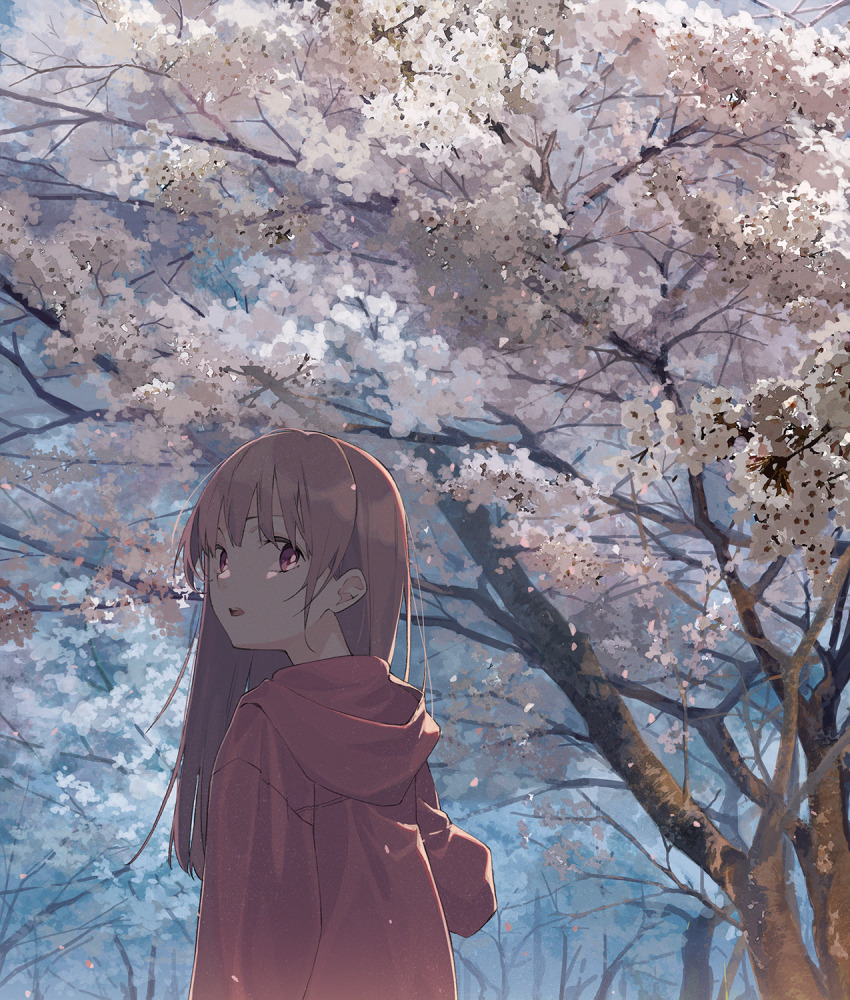 1girl, brown_hair, cherry_blossoms, falling_petals, highres, hood, hoodie, looking_at_viewer