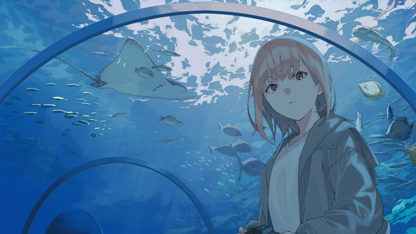 1girl, aquarium, brown_hair, closed_mouth, fish, grey_eyes, highres, indoors, jacket, looking_at_viewer, manta_ray, original, shirt, solo, tsukugu, white_shirt