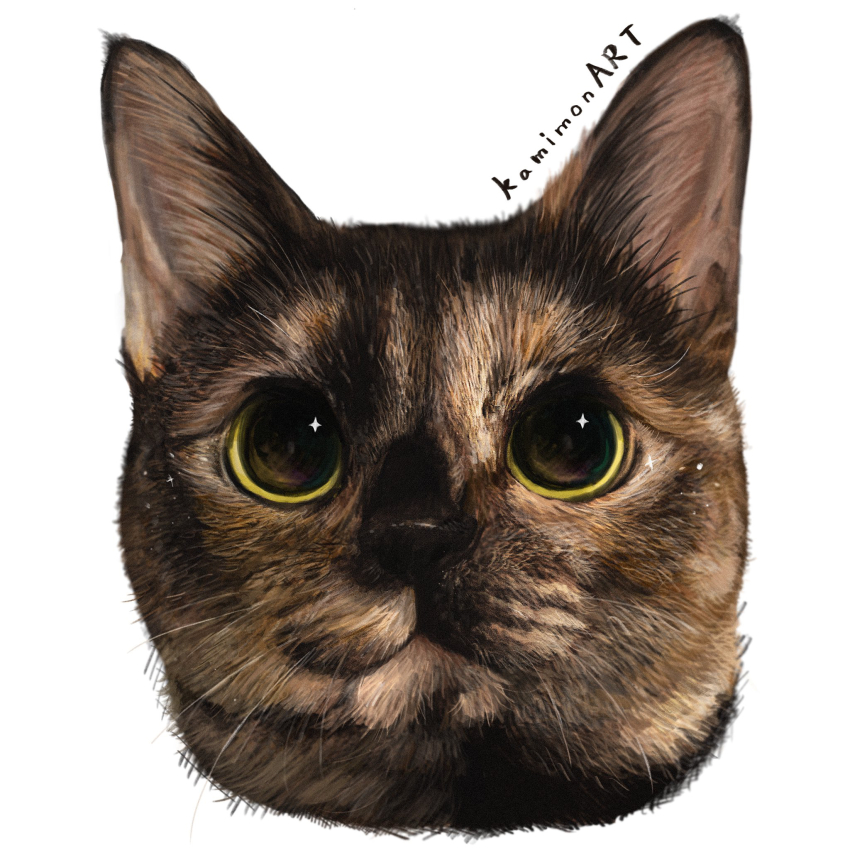 animal, animal_focus, artist_name, cat, commentary_request, highres, kamimon2016, no_humans