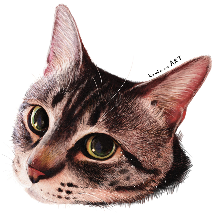 animal, animal_focus, artist_name, cat, commentary_request, grey_cat, highres, kamimon2016