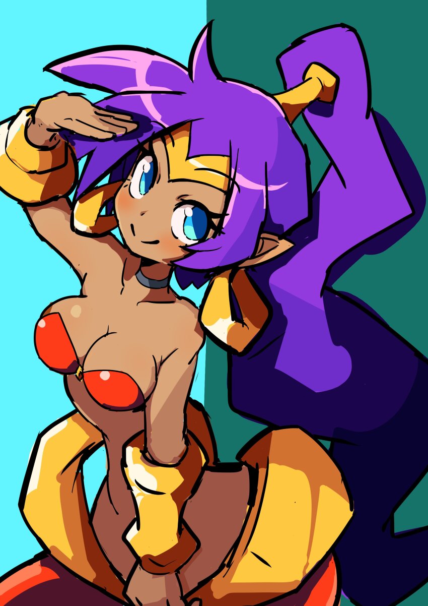 absurdres, blue_eyes, bracelet, breasts, choker, dark-skinned_female, dark_skin, earrings, gold_bracelet, gold_earrings, gold_tiara, hand_up, high_ponytail, highres, jewelry, long_hair, misomaru, pointy_ears, ponytail, purple_hair, shantae, shantae_(series), smile, tiara