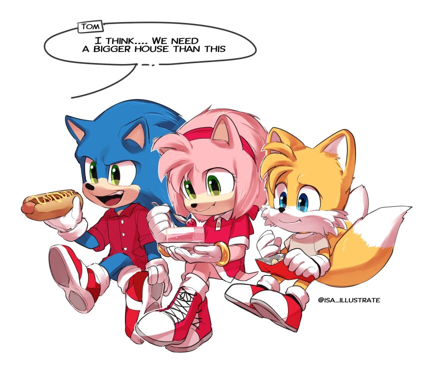 amy_rose, blue_fur, boots, cake, chili_dog, chips_(food), eating, food