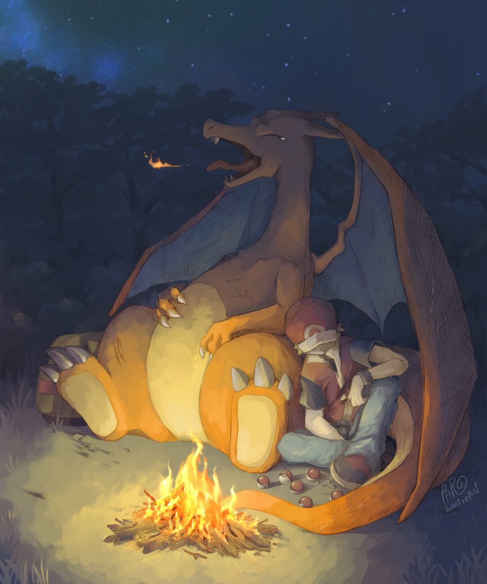 1boy, campfire, charizard, claws, commentary_request, fire, gen_1_pokemon, grass