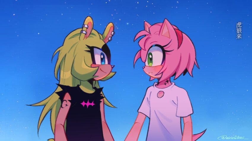 2girls, alternate_costume, amy_rose, black_shirt, blue_eyes, blue_sky, day, einelitas