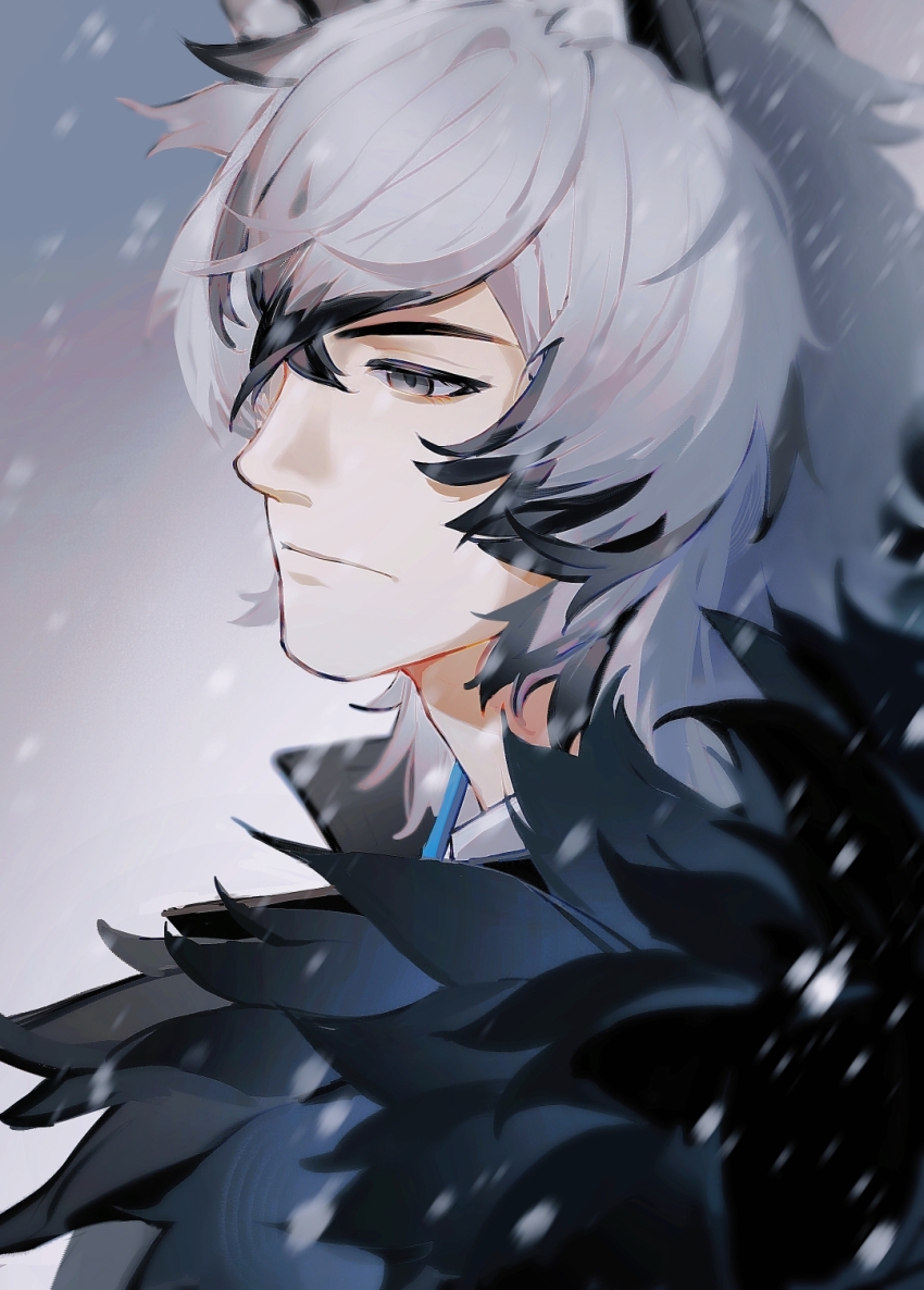 1boy, aicer, animal_ear_fluff, animal_ears, arknights, black_coat, closed_mouth, coat, crossed_bangs, fur-trimmed_coat, fur_trim, grey_eyes, grey_hair, hair_between_eyes, highres, male_focus, medium_hair, open_clothes, open_coat, portrait, shirt, silverash_(arknights), snow_leopard_boy, snow_leopard_ears, snowing, solo, white_shirt