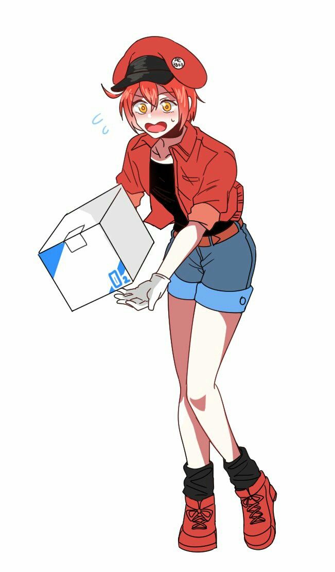 cells_at_work, red_blood_cells, tagme