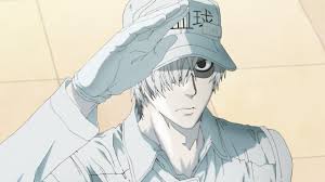 cells_at_work, tagme, white_blood_cells