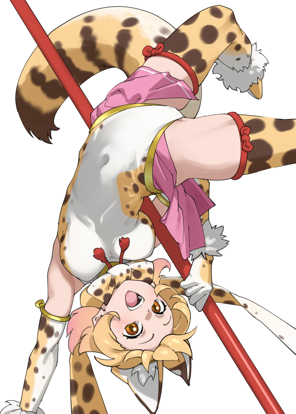 1girl, animal_ear_fluff, animal_print, blonde_hair, breasts, commentary, cosplay, covered_navel, elbow_gloves, extra_ears, gloves, gold_trim, golden_snub-nosed_monkey_(kemono_friends), golden_snub-nosed_monkey_(kemono_friends)_(cosplay), highleg, highleg_leotard, highres, holding, holding_polearm, holding_weapon, kemono_friends, kemono_friends_3, leotard, looking_at_viewer, medium_breasts, multicolored_leotard, pink_skirt, polearm, print_gloves, print_thighhighs, serval_(kemono_friends), showgirl_skirt, simple_background, skirt, solo, tail, tanabe_(fueisei), teeth, thighhighs, thighs, tongue, upper_teeth_only, upside-down, weapon, white_background, white_leotard, yellow_eyes