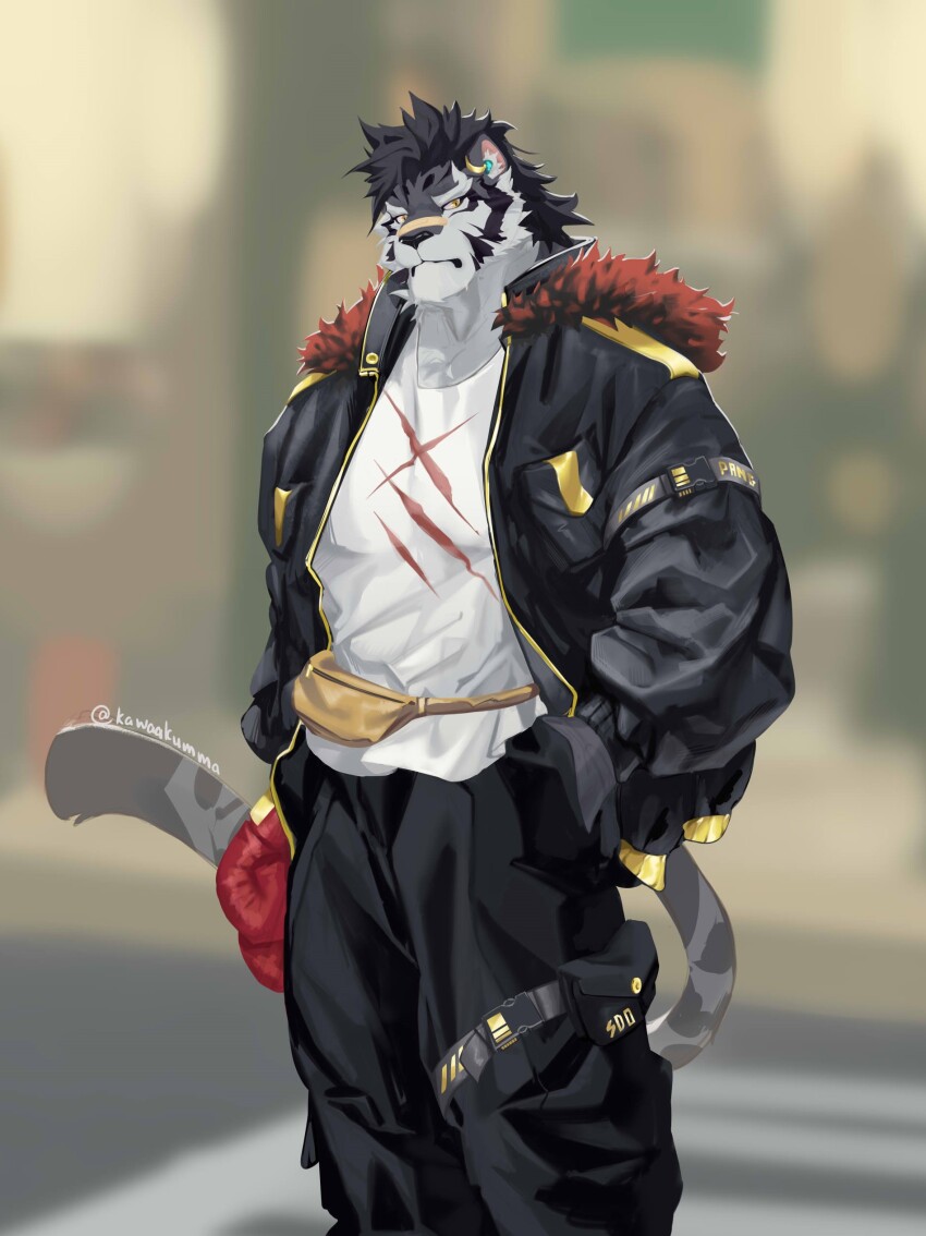 1boy, absurdres, animal_ears, artist_name, bandaid, bandaid_on_face, bandaid_on_nose, bara