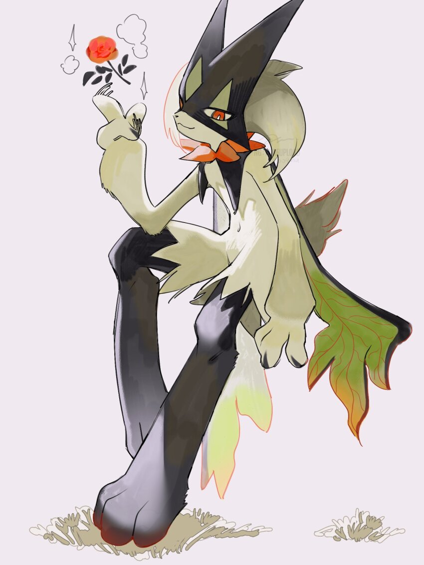 1other, animal_hands, animal_nose, black_fur, body_fur, cape, flower, full_body