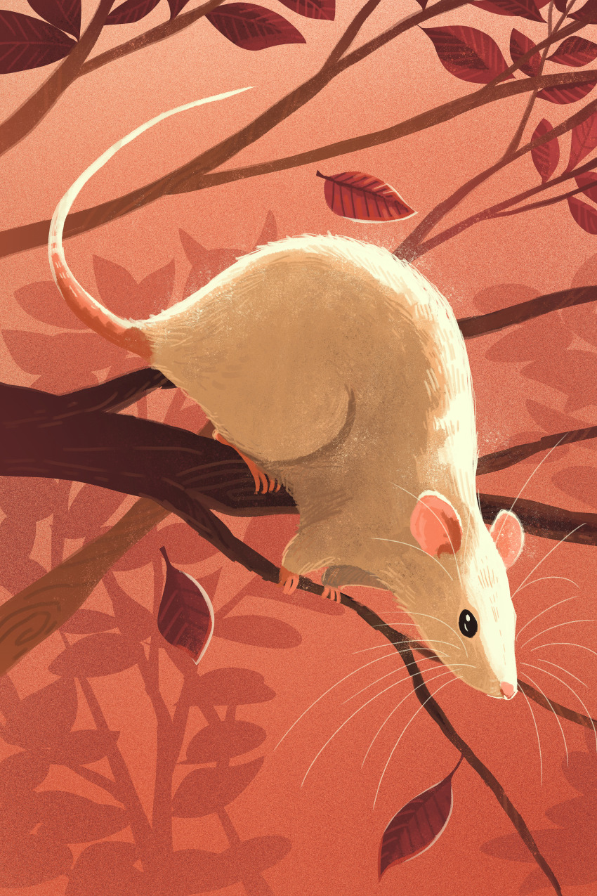 absurdres, animal_focus, autumn_leaves, closed_mouth, commentary, english_commentary, full_body, highres