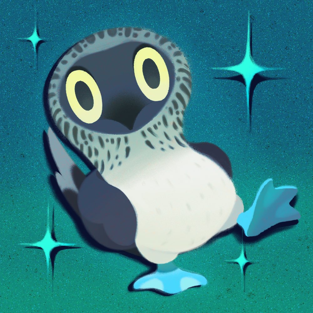 ache13337003, animal, animal_focus, aqua_background, beak, bird, black_eyes, blue-footed_booby