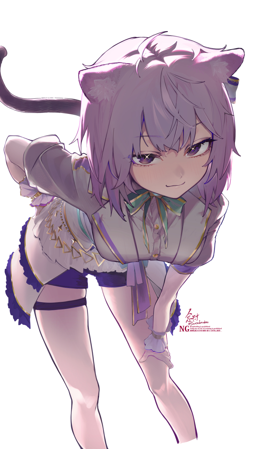 1girl, absurdres, animal_ears, cat_ears, cat_girl, cat_tail, frills, hair_ribbon