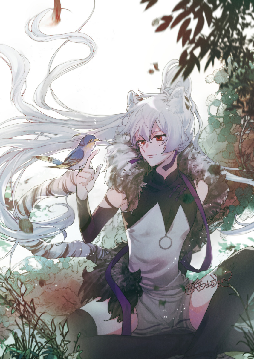 1boy, animal, animal_ear_fluff, animal_ears, artist_name, bird, bird_on_hand, black_thighhighs