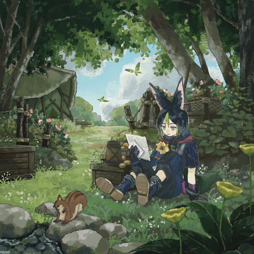 1boy, animal_ears, black_gloves, black_hair, box, cloud, commentary_request, crystalfly_(genshin_impact), day, envelope, flower, forest, fox_boy, fox_ears, fox_tail, genshin_impact, gloves, grass, highres, hishida_(koko_escape), holding, holding_envelope, hood, hood_down, leaf, male_focus, medal, multicolored_hair, nature, outdoors, rock, sitting, sky, squirrel, tail, tent, tighnari_(genshin_impact), tree, water, yellow_flower