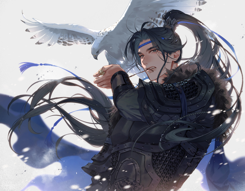 1boy, animal, animal_on_shoulder, armor, bird, bird_on_shoulder, black_hair, black_hanfu