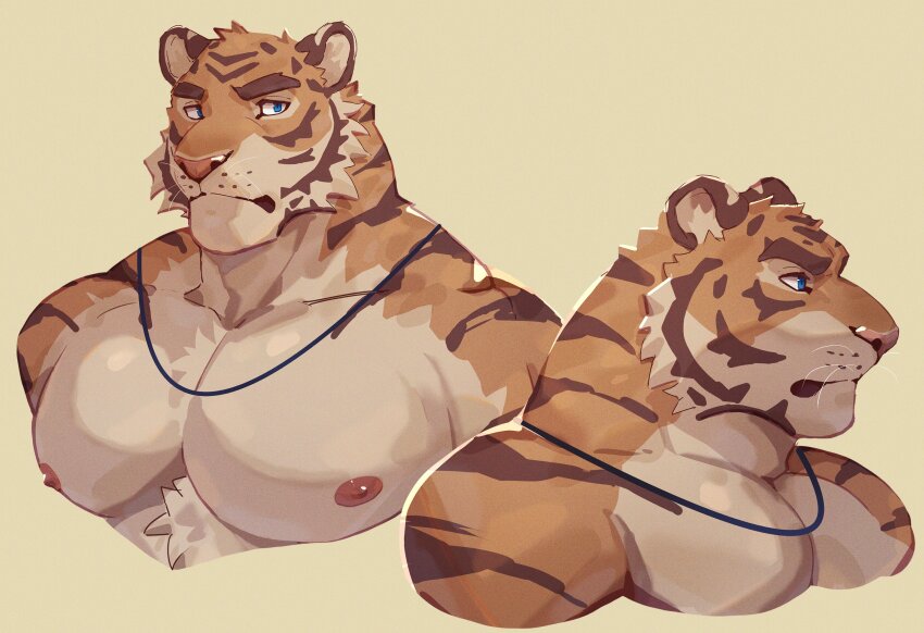 1boy, absurdres, bara, blue_eyes, cropped_shoulders, furry, furry_male, highres, kimagureuso, large_pectorals, male_focus, multiple_views, muscular, muscular_male, nipples, original, pectorals, simple_background, tiger_boy