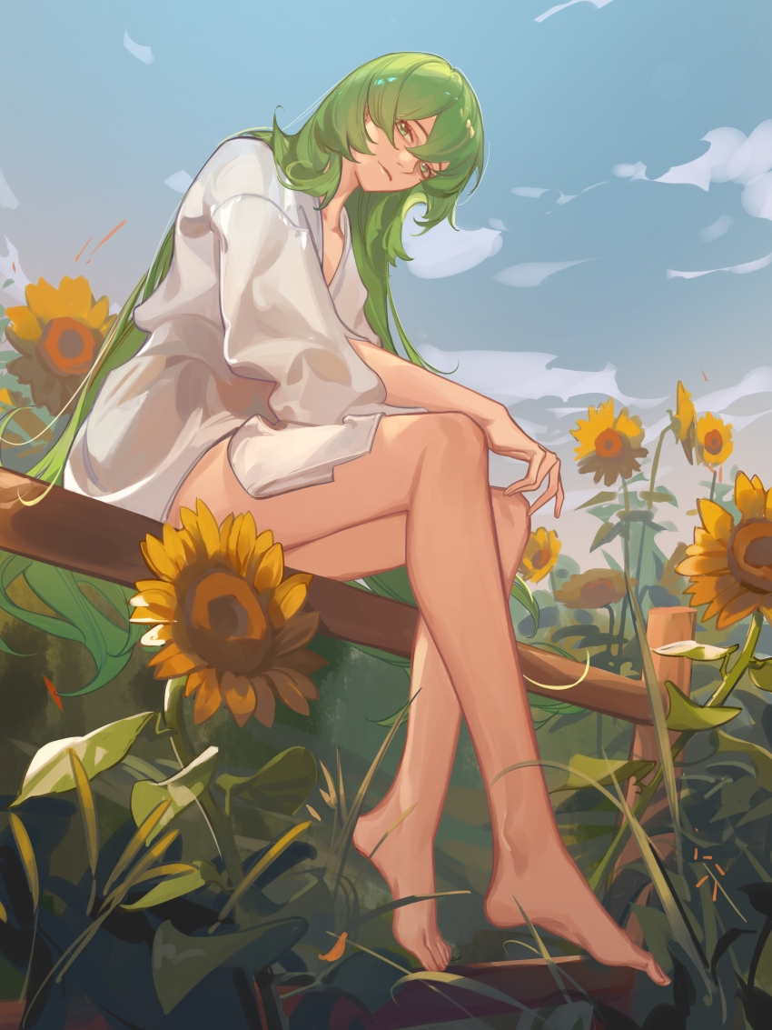 1other, absurdres, aldaduzuoaoda, androgynous, barefoot, blue_sky, cloud, day, enkidu_(fate), fate/grand_order, fate_(series), flower, full_body, green_eyes, green_hair, hair_between_eyes, highres, long_hair, looking_at_viewer, other_focus, outdoors, robe, sitting, sitting_on_fence, sky, smile, solo, sunflower, very_long_hair, white_robe