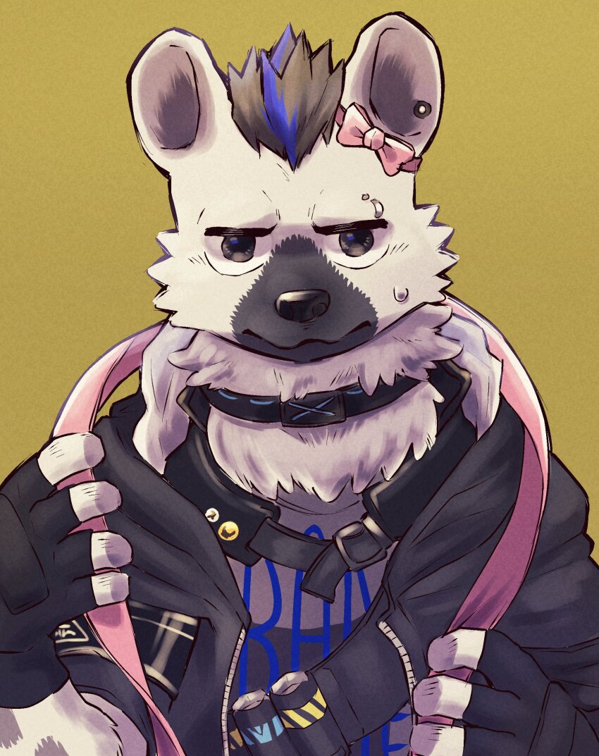 1boy, absurdres, arknights, black_hair, black_jacket, bow, commentary_request, ear_piercing, eyebrow_piercing, face_piercing, fingerless_gloves, furry, furry_male, gabobon05, gloves, grey_fur, grey_shirt, highres, hyena_boy, hyena_ears, infection_monitor_(arknights), jacket, looking_at_viewer, male_focus, multicolored_hair, piercing, pink_bow, pink_ribbon, ribbon, shirt, spot_(arknights), streaked_hair, sweatdrop