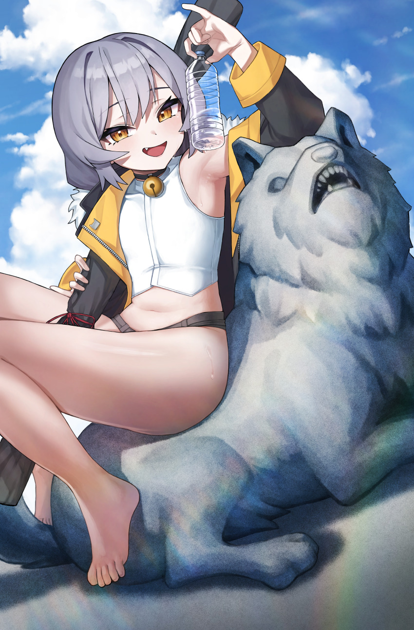 1boy, :d, absurdres, armpits, barefoot, bell, black_collar, black_jacket, blue_sky, bottle, cloud, collar, fang, fur-trimmed_jacket, fur_trim, grey_hair, grey_shorts, highres, holding, holding_bottle, jacket, jingle_bell, korean_commentary, long_sleeves, looking_at_viewer, male_focus, medium_hair, micro_shorts, midriff, multicolored_jacket, navel, neck_bell, off_shoulder, open_clothes, open_jacket, open_mouth, pinky_out, poisoncrown01, shirt, shorts, single_bare_shoulder, sitting, sky, smile, statue, sweat, teeth, thighs, tongkkangi, tongkkangi_(streamer), trap, two-tone_jacket, underwear, virtual_youtuber, water_bottle, white_shirt, wolf, yellow_eyes, yellow_jacket