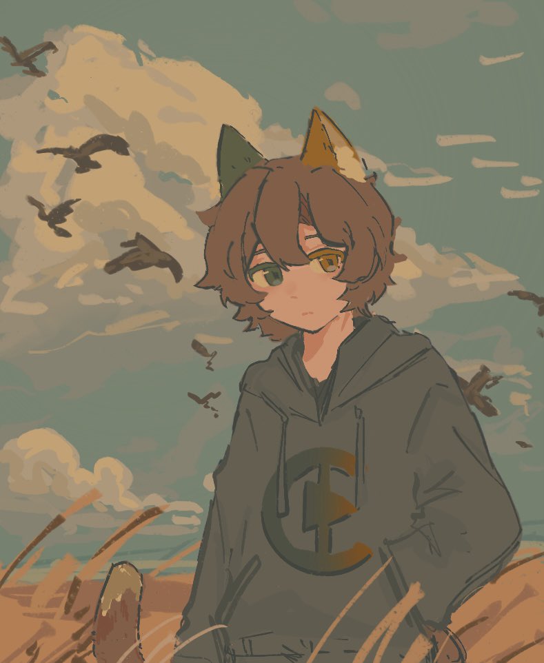 1boy, animal_ears, animification, bird, brown_hair, cat_boy, cat_ears, cat_tail, cloud, green_eyes, grey_hoodie, hand_in_pocket, heterochromia, hood, hoodie, kenadian, lanchi0226, looking_at_viewer, male_focus, minecraft_youtube, outdoors, print_hoodie, short_hair, sky, solo, tail, upper_body, yellow_eyes