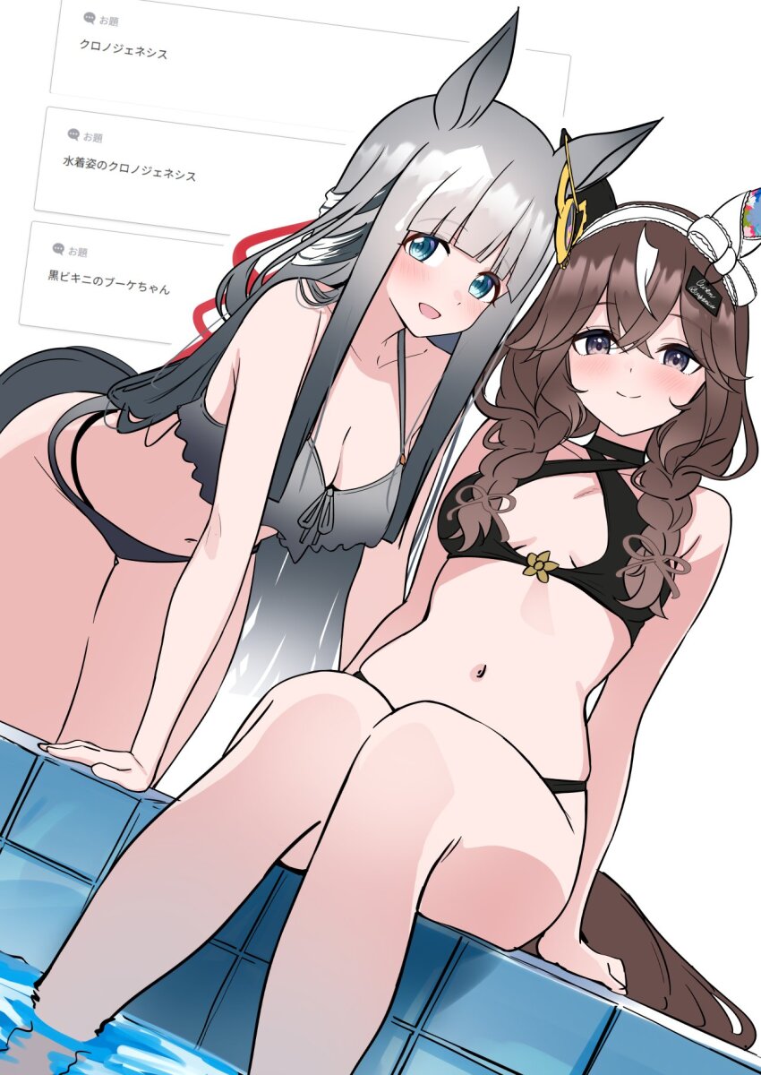 2girls, alternate_costume, animal_ears, bikini, black_bikini, blue_eyes, blunt_bangs, braid