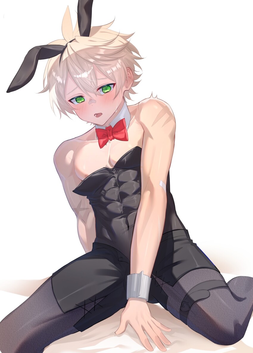 1boy, @_@, abs, absurdres, animal_ears, bandaid, bandaid_on_face, bandaid_on_nose