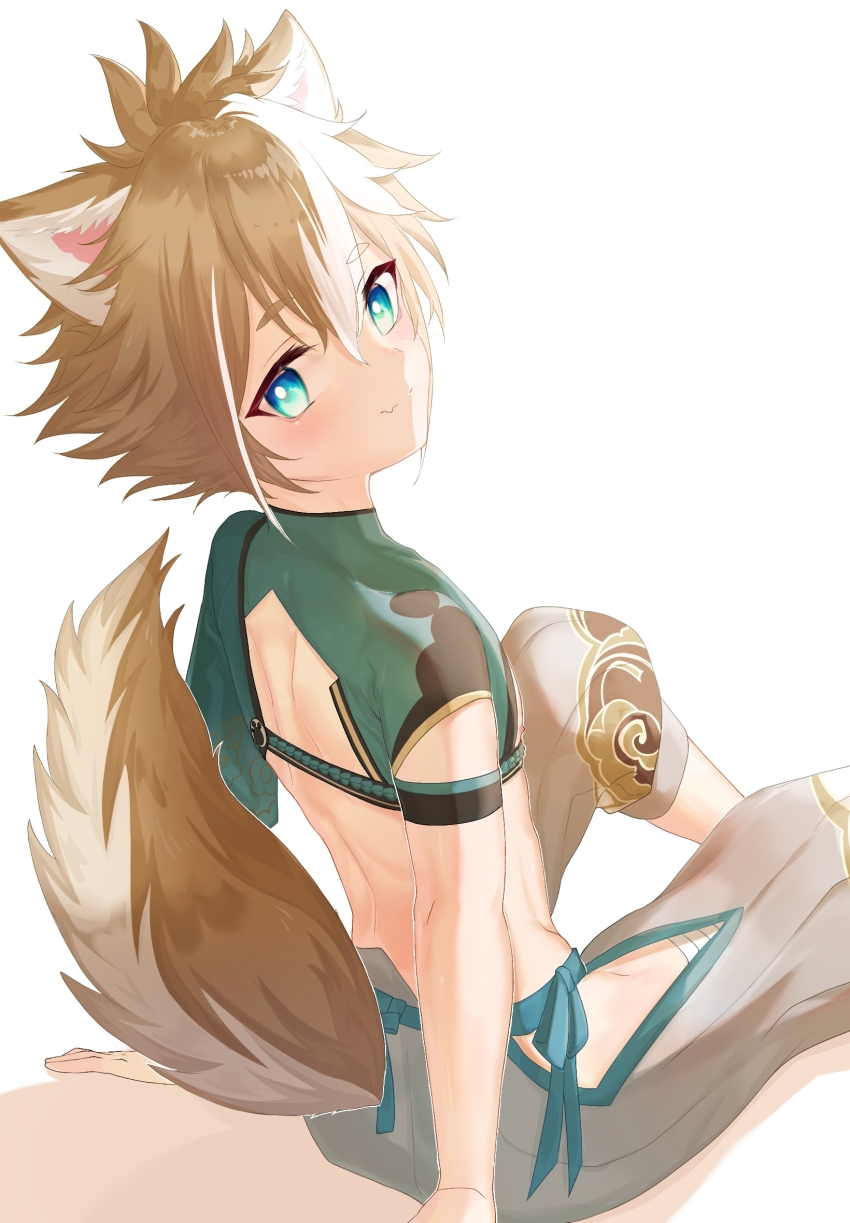 1boy, animal_ears, aqua_eyes, back, blush, brown_hair, brown_tail, closed_mouth