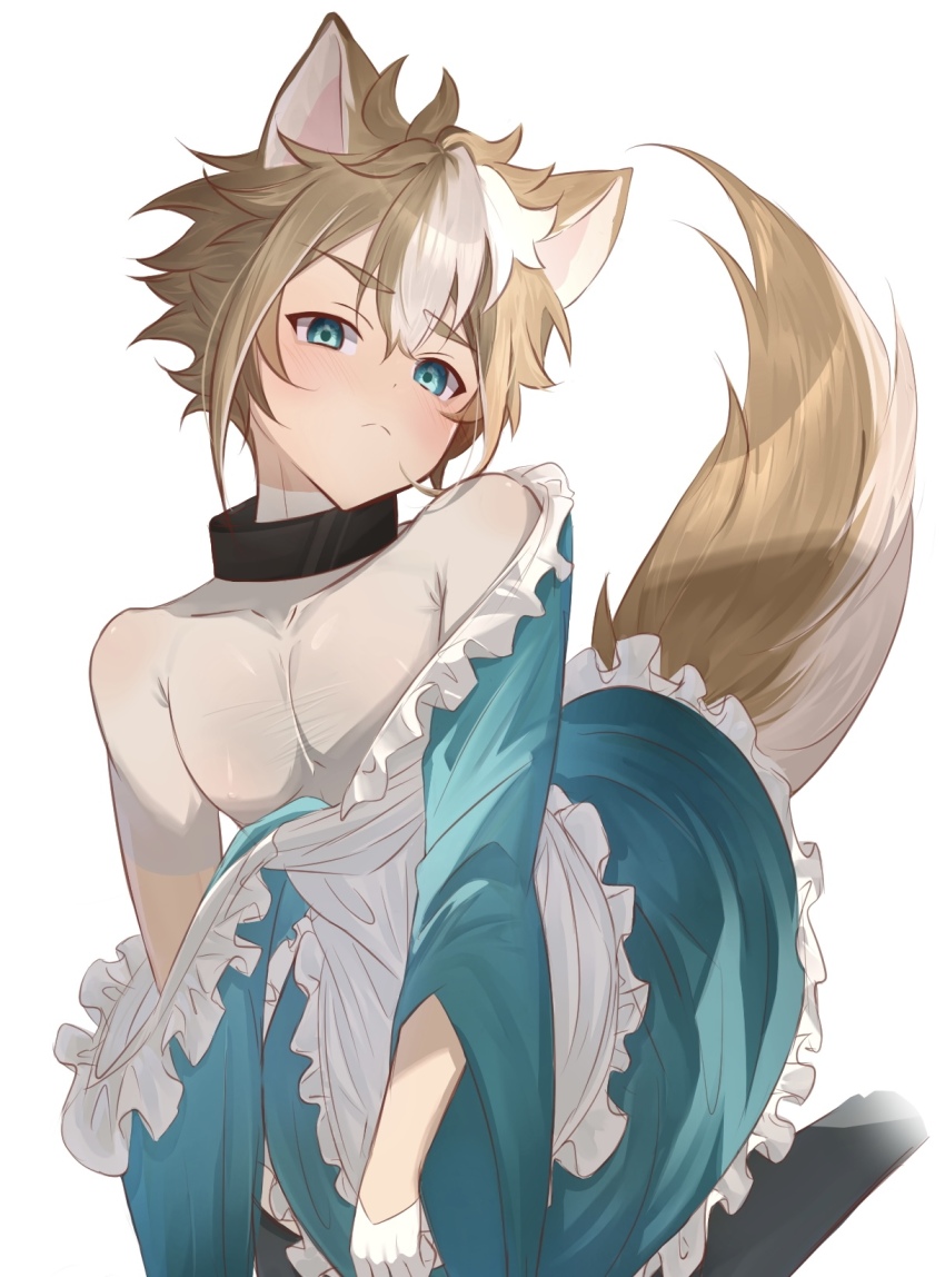1boy, animal_ears, apron, aqua_dress, aqua_eyes, blush, brown_hair, brown_tail, closed_mouth, crossdressing, crossdressing_(mtf), dog_boy, dog_ears, dog_tail, dress, genshin_impact, gorou_(genshin_impact), hair_between_eyes, highres, looking_at_viewer, maid, maid_apron, male_focus, male_maid, multicolored_hair, multicolored_tail, narshiyu, short_hair, solo, streaked_hair, tail, trap, white_background, white_hair, white_tail