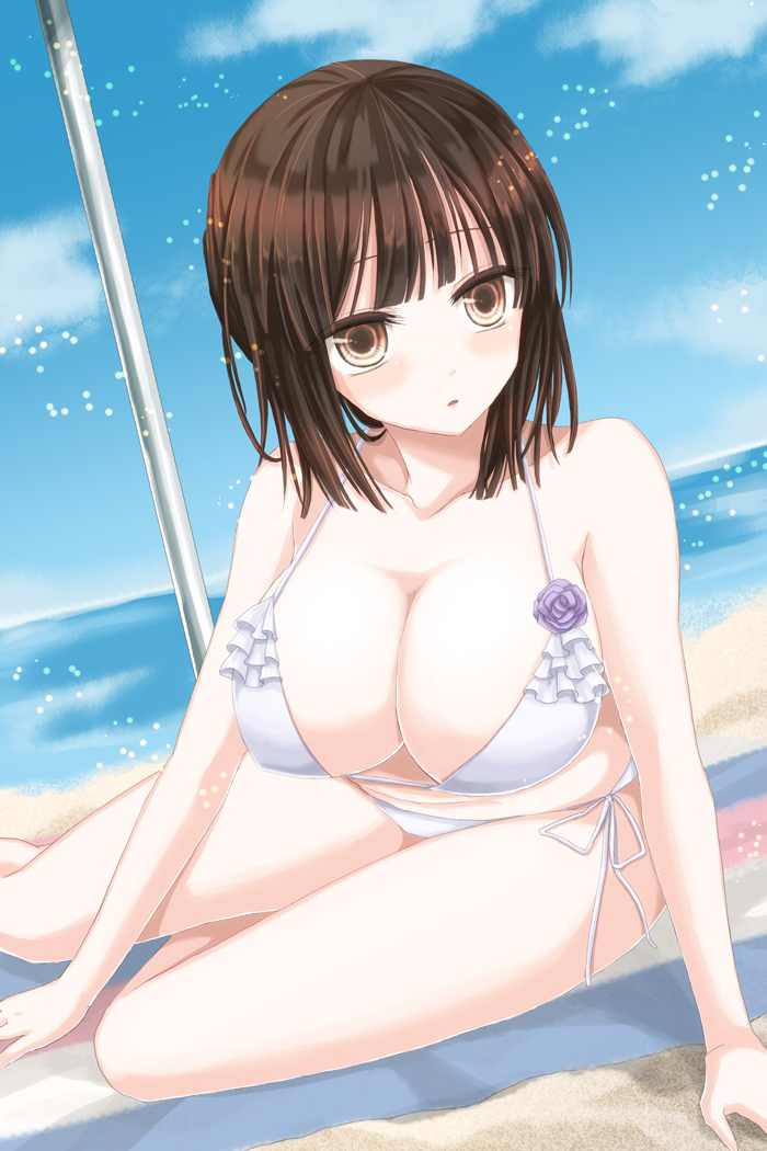 1girl, arm_support, bikini, blue_sky, blush, breasts, brown_eyes, brown_hair