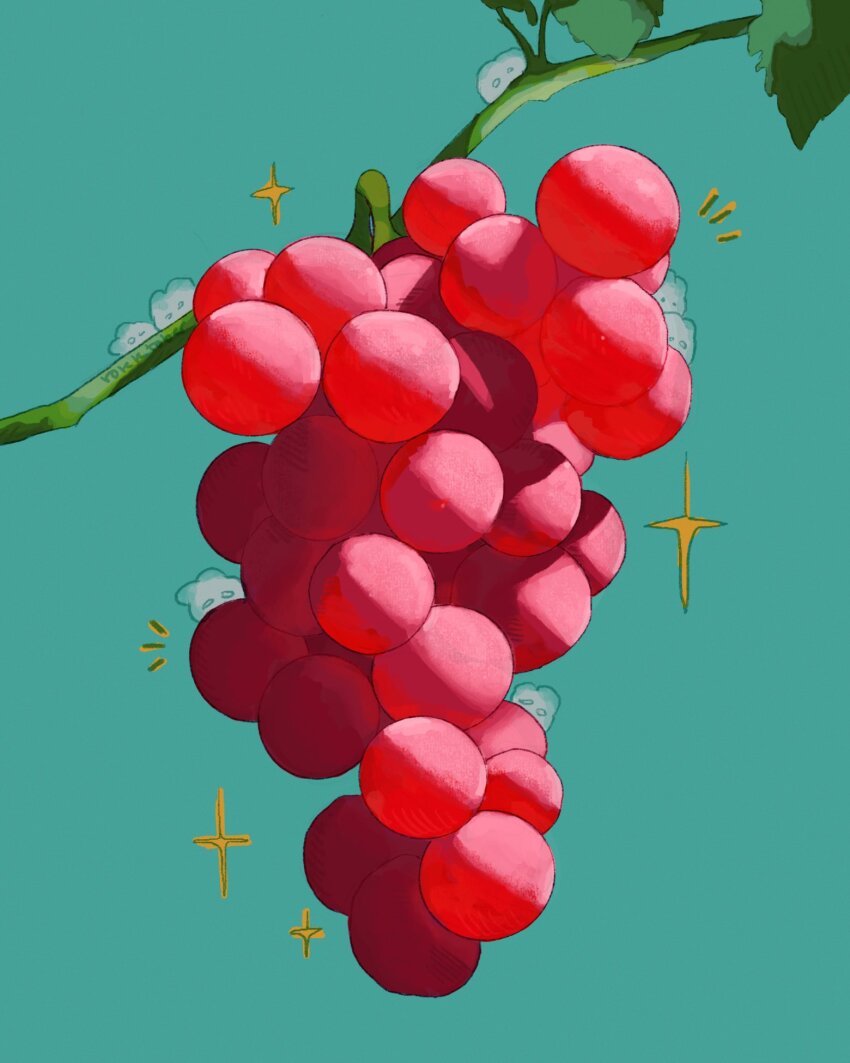 aqua_background, branch, commentary, english_commentary, food, food_focus, fruit, fruit_focus