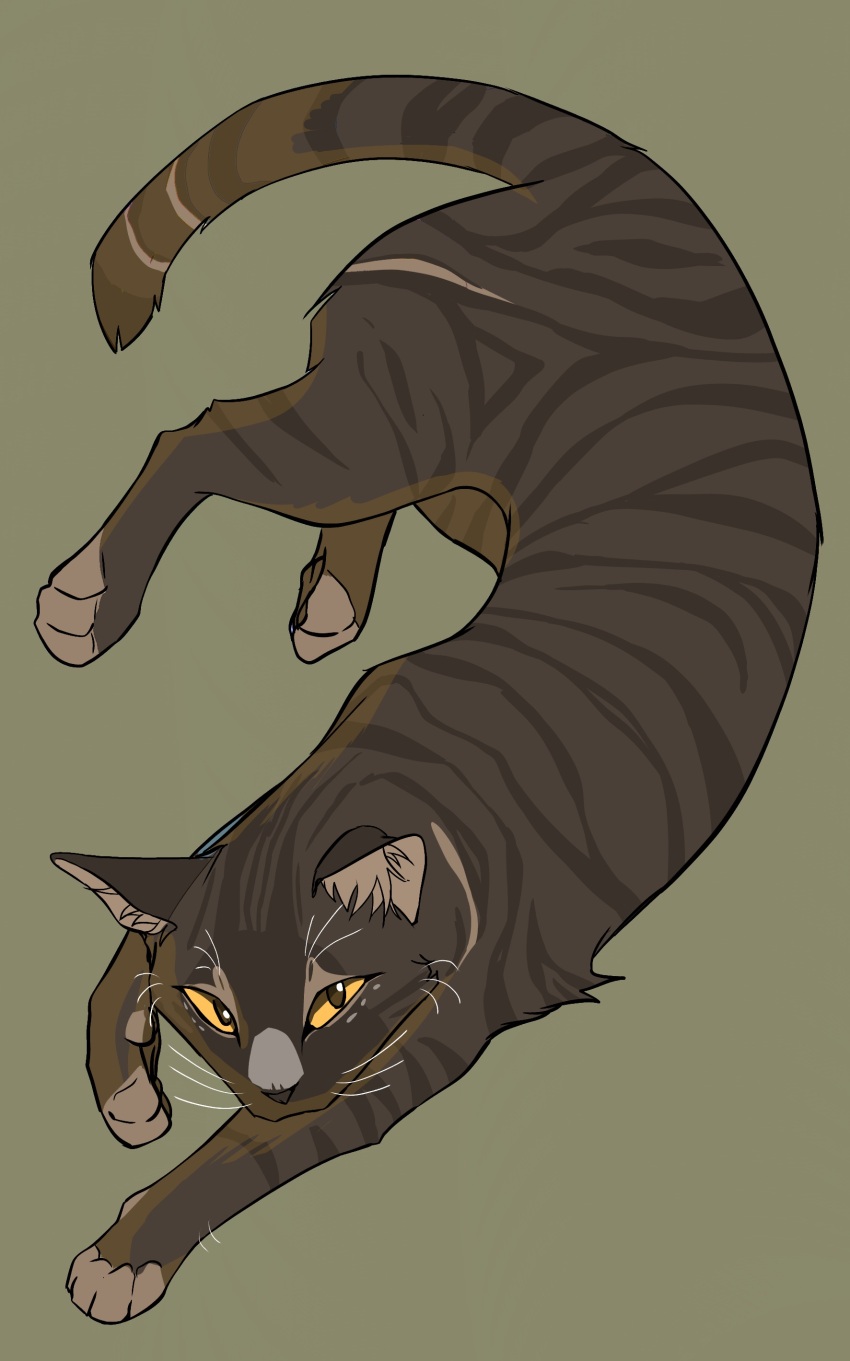 absurdres, animal, animal_focus, brown_cat, cat, commentary_request, fugu_(fugusunburst55), green_background