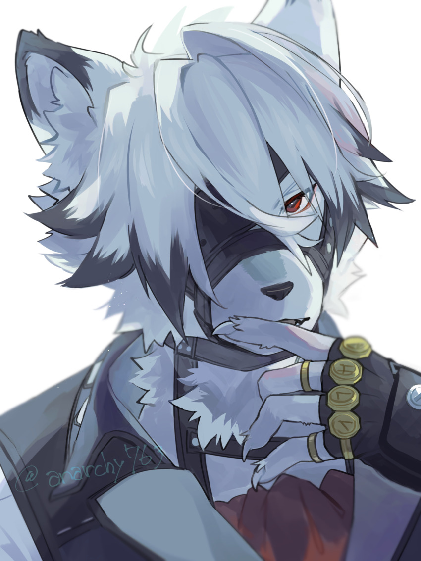 aizawa_(nh_st), animal_ears, black_gloves, black_hair, black_shirt, body_fur, fingerless_gloves, furry