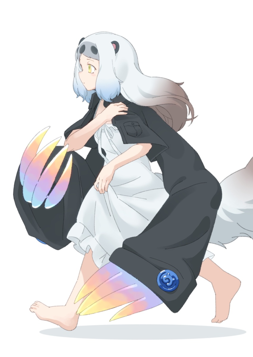 1girl, animal_ears, barefoot, black_hair, black_jacket, blue_hair, brown_hair, dress