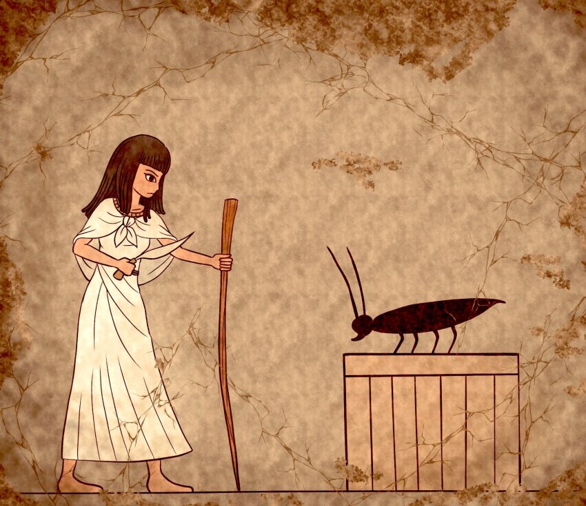 1girl, ancient_egyptian, barefoot, black_hair, bug, capelet, cockroach, commentary_request