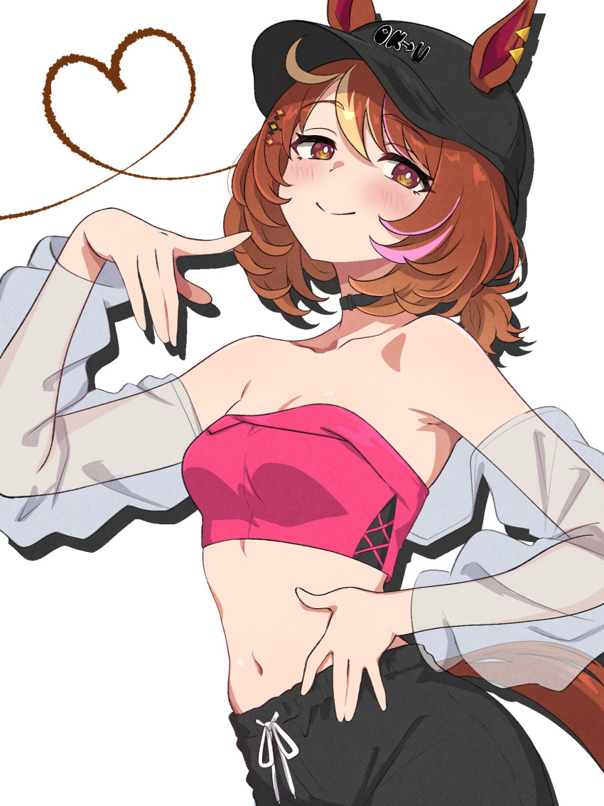 1girl, animal_ears, black_hat, breasts, brown_eyes, brown_hair, closed_mouth, commentary_request