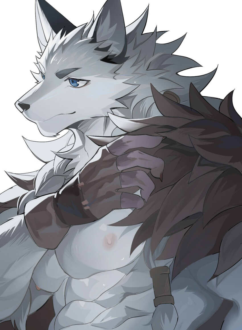 1boy, abs, afk_(series), afk_journey, animal_ears, ao_(chung0u0), bara, blue_eyes