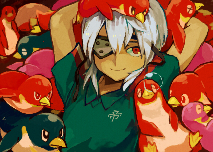 1boy, arms_up, bird, eyepatch, grey_hair, inazuma_eleven, inazuma_eleven_(series), male_focus