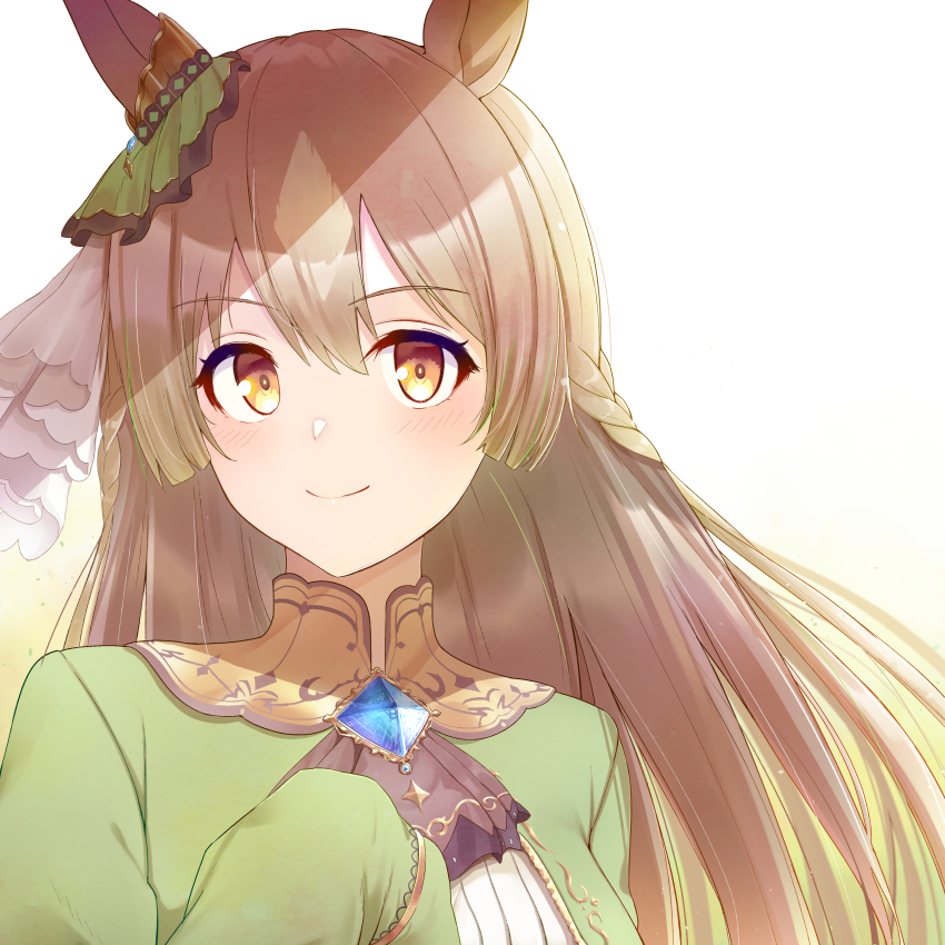 1girl, abish, absurdres, animal_ears, blush, braid, brown_eyes, brown_hair