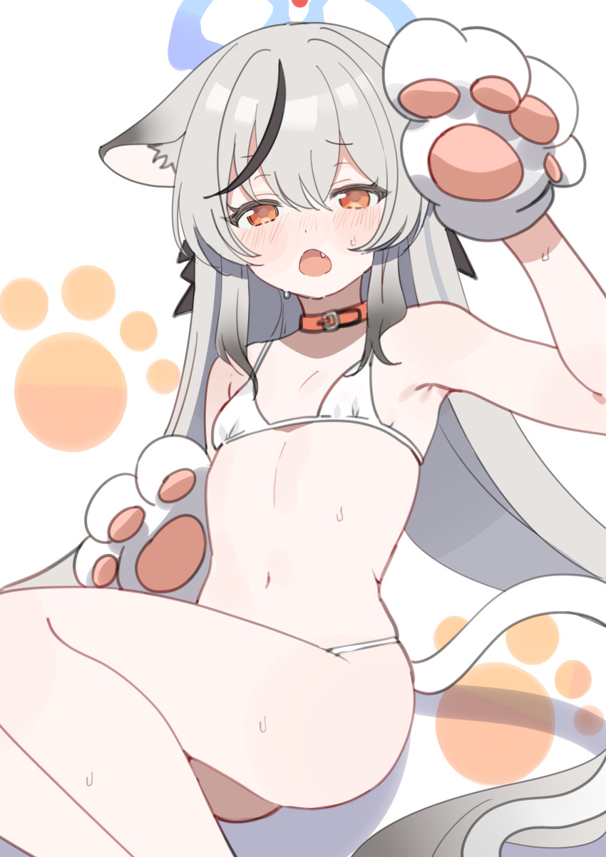 1girl, absurdres, animal_ear_fluff, animal_ears, animal_hands, bikini, black_hair, blue_archive, blue_halo, breasts, collarbone, daredattakke, flat_chest, gloves, grey_hair, halo, hand_up, highres, kokona_(blue_archive), loli, long_hair, looking_at_viewer, micro_bikini, multicolored_hair, navel, open_mouth, orange_eyes, paw_gloves, paw_print, simple_background, sitting, solo, streaked_hair, sweat, swimsuit, tail, thighs, tiger_ears, tiger_girl, white_background, white_bikini, white_gloves