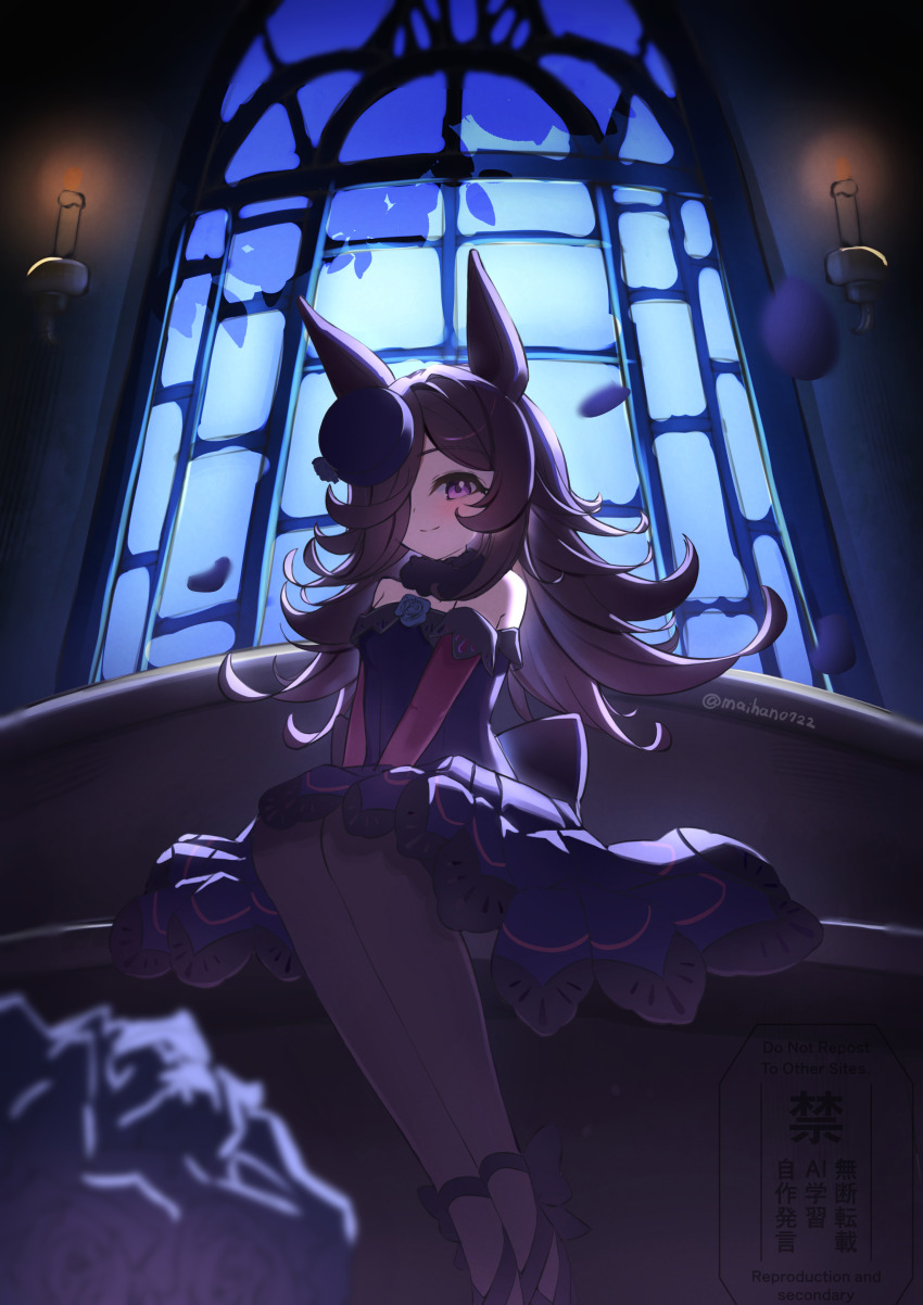 1girl, absurdres, animal_ears, black_pantyhose, black_shoes, blue_dress, blue_hat, blush, brown_eyes, brown_hair, dress, frilled_dress, frills, hair_over_one_eye, hat, highres, horse_ears, horse_girl, long_hair, looking_at_viewer, mary_janes, pantyhose, purple_eyes, rice_shower_(umamusume), saigyougi, shoes, smile, solo, umamusume