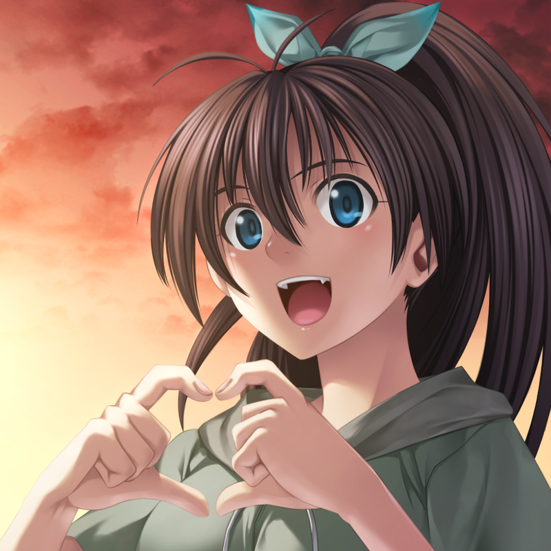 1girl, four-finger_heart_hands, bad_id, bad_pixiv_id, black_hair, blue_eyes, colorized, fang, female_focus, ganaha_hibiki, heart, heart_hands, hood, hoodie, idolmaster, idolmaster_(classic), long_hair, ponytail, seiran_kai, solo, totokichi