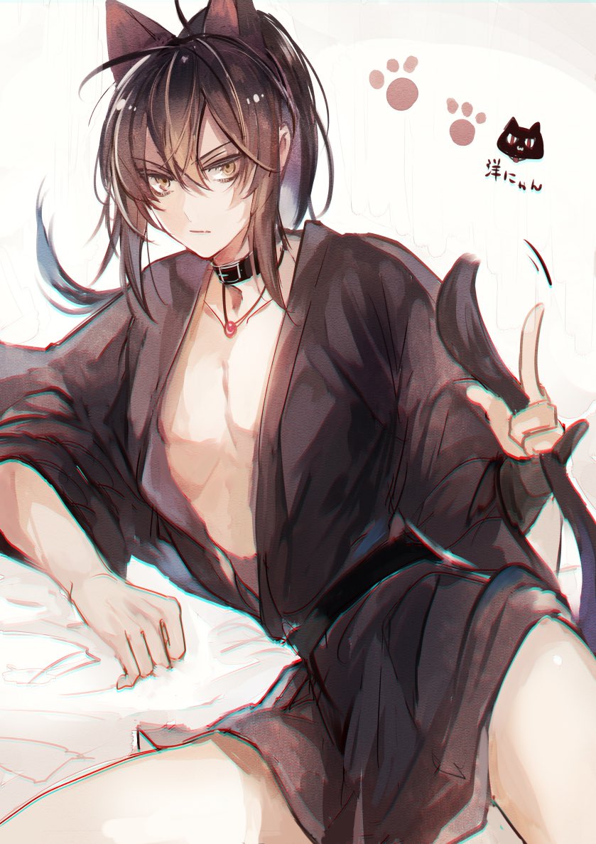 1boy, ahoge, animal_ears, black_choker, black_hair, black_hanfu, black_robe, brown_hair