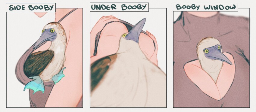 1girl, animal_between_breasts, bird, blue-footed_booby, booby_(bird), breasts, brown_sweater, cleavage, cleavage_cutout, clothing_cutout, english_text, hands_on_own_chest, head_out_of_frame, highres, multiple_views, original, pun, simple_background, spindle_(aidenr0), sweater, underboob, white_background
