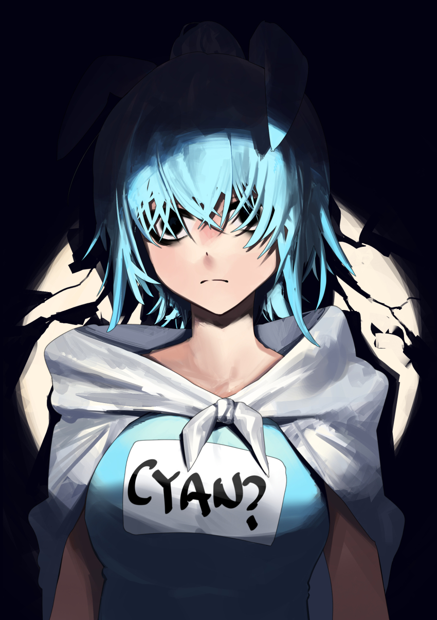 1girl, absurdres, animal_ears, black_eyes, blue_hair, closed_mouth, clothes_writing, commentary