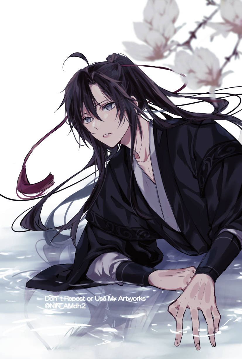 1boy, ahoge, bishounen, black_hair, black_hanfu, blurry, chinese_clothes, collarbone