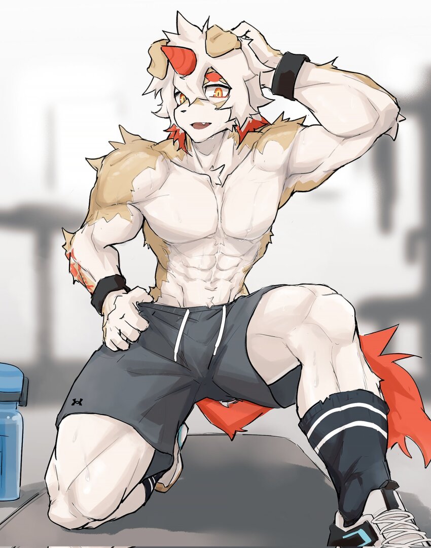 1boy, abs, arknights, bara, colored_tips, fang, fitness_gym, furry